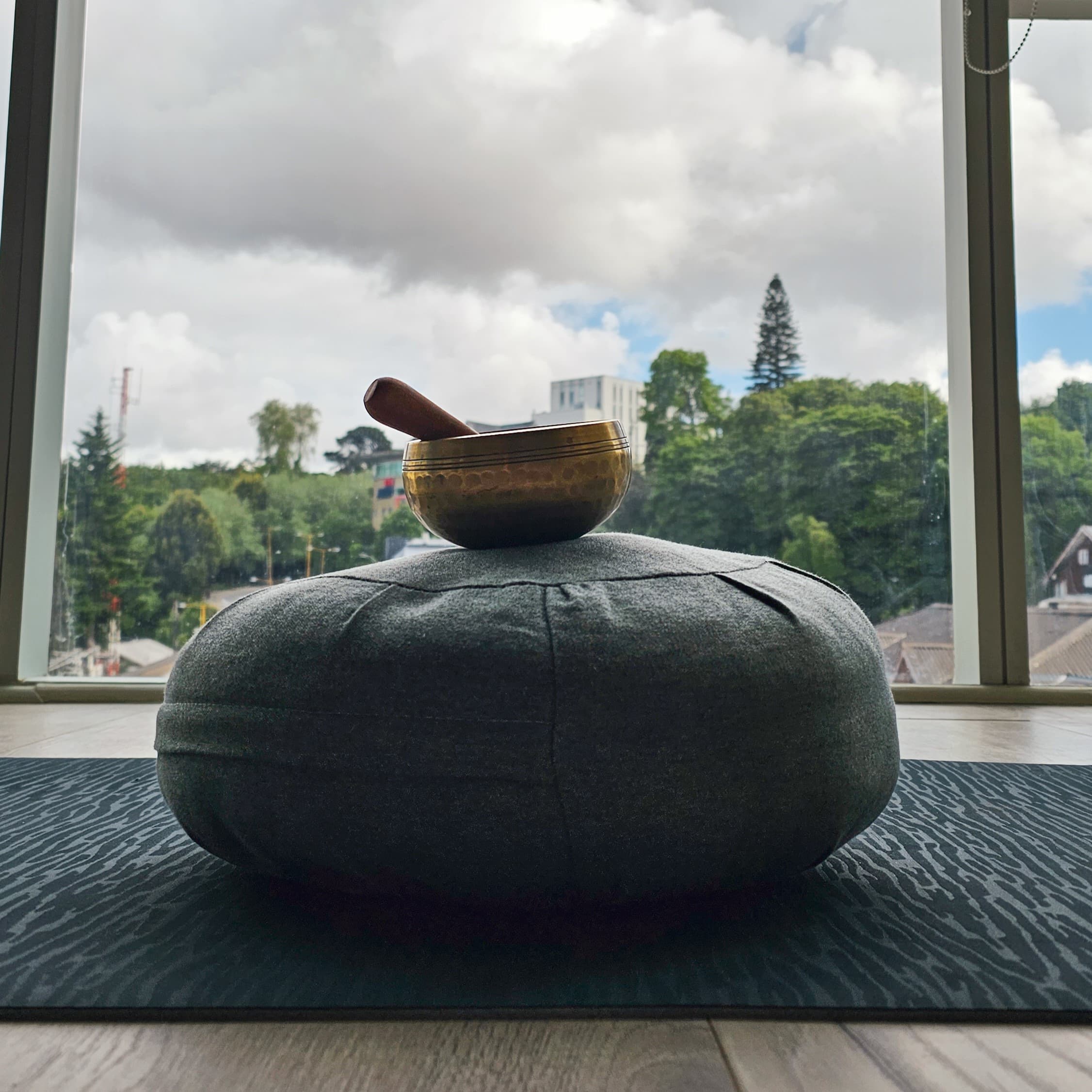 Introducción al Mindfulness